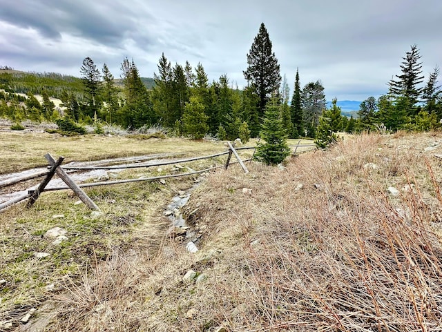 22 Indian Creek Rd, Townsend, MT 59644 - view of yard