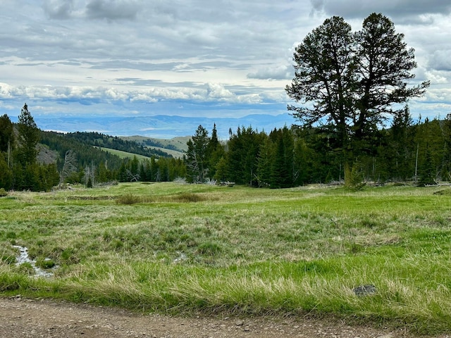 22 Indian Creek Rd, Townsend, MT 59644 - view of mountain backdrop with a heavily wooded area and rural landscape