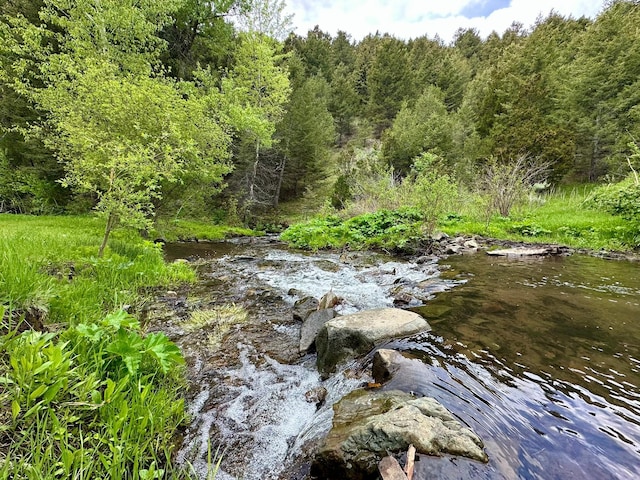 22 Indian Creek Rd, Townsend, MT 59644 - view of tree filled area