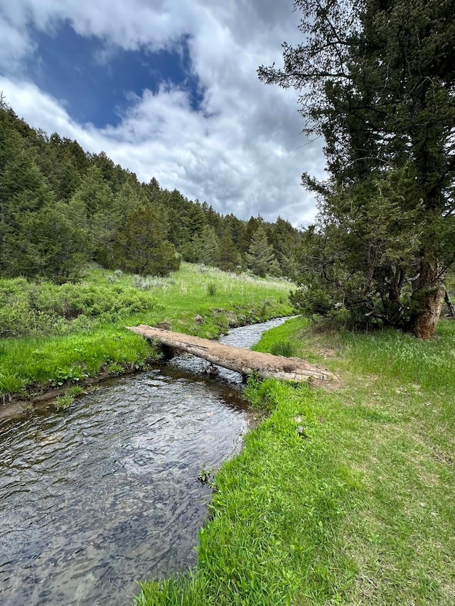 22 Indian Creek Rd, Townsend, MT 59644 - view of yard featuring a forest view