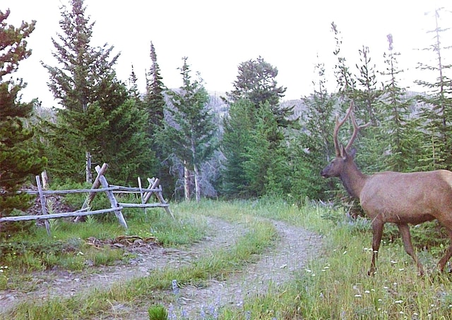 22 Indian Creek Rd, Townsend, MT 59644 - view of street