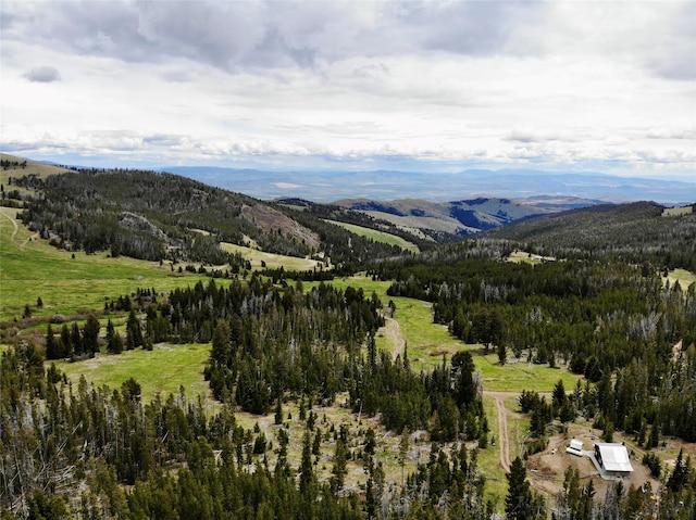 22 Indian Creek Rd, Townsend, MT 59644 - view of mountain backdrop featuring a forest
