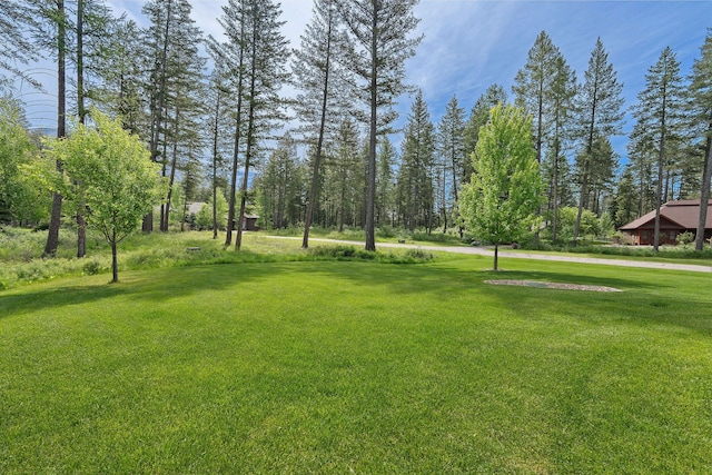 74 Wood Ridge Dr, Columbia Falls, MT 59912 - view of green lawn