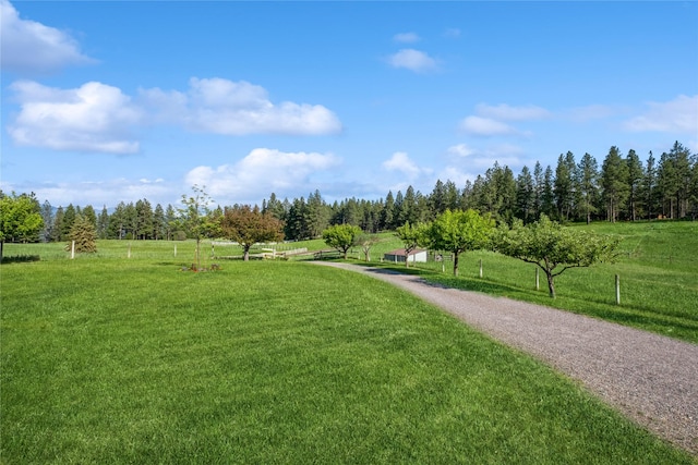 965 Ranch Ln, Kalispell, MT 59901 - view of community with a lawn and a rural view