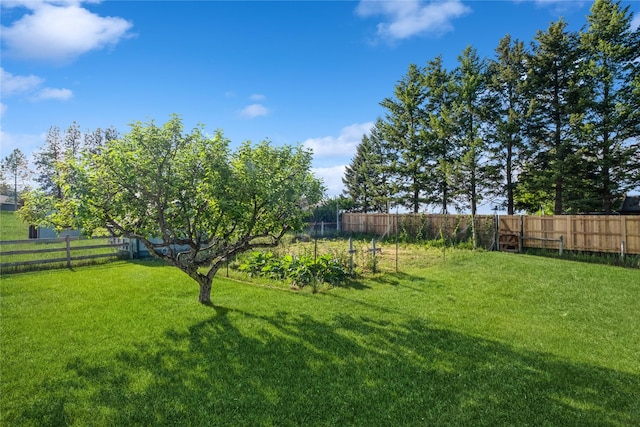 965 Ranch Ln, Kalispell, MT 59901 - view of fenced backyard