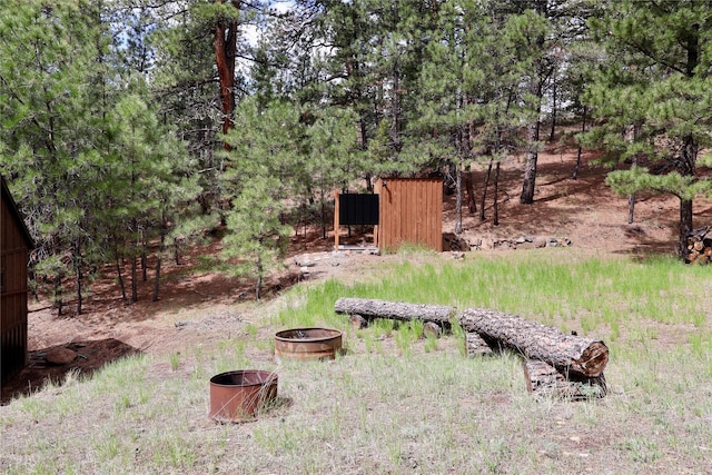 208 Paul Creek Ln, Cascade, MT 59421 - view of yard with a fire pit