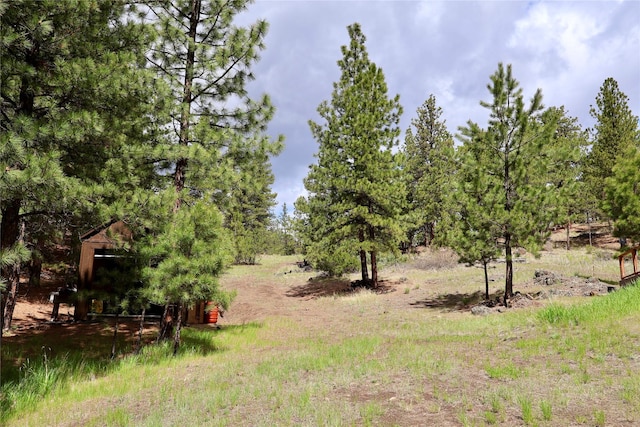 208 Paul Creek Ln, Cascade, MT 59421 - view of yard