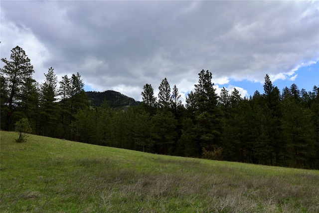 208 Paul Creek Ln, Cascade, MT 59421 - view of mountain background featuring a heavily wooded area