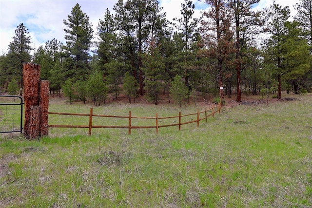 208 Paul Creek Ln, Cascade, MT 59421 - view of yard with a rural view