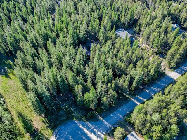 29 Northshore Dr, Troy, MT 59935 - aerial view