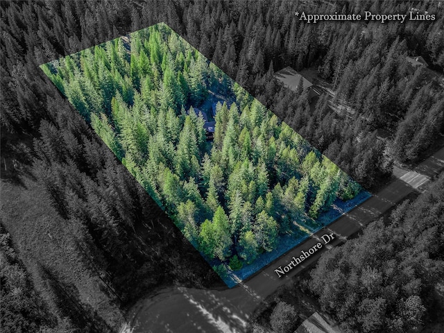 29 Northshore Dr, Troy, MT 59935 - aerial view of property's location featuring property parcel outlined