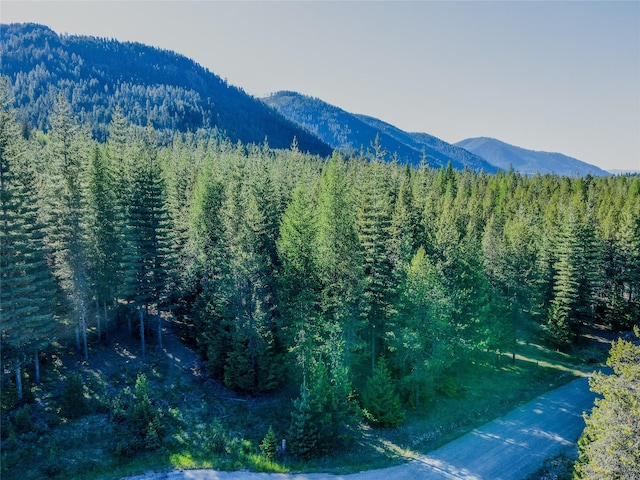 29 Northshore Dr, Troy, MT 59935 - view of mountain background featuring a forest