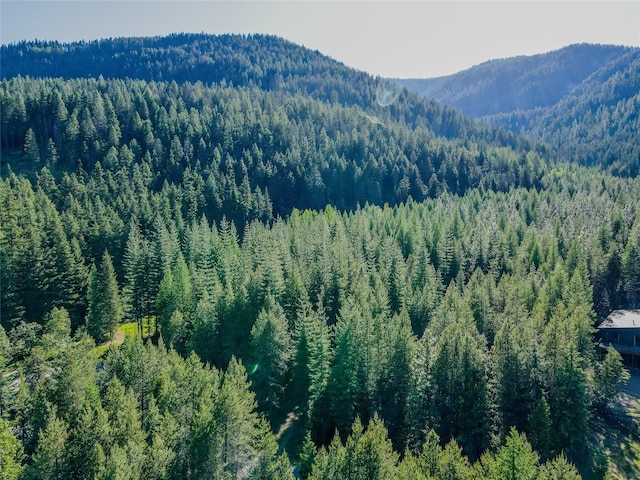 29 Northshore Dr, Troy, MT 59935 - mountain view featuring a forest