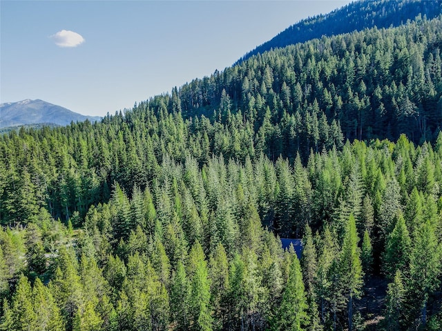 29 Northshore Dr, Troy, MT 59935 - view of mountain background with a forest