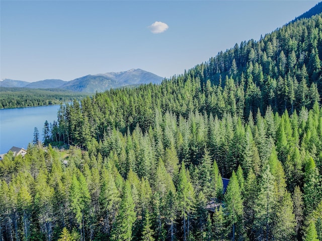 29 Northshore Dr, Troy, MT 59935 - view of mountain backdrop with a heavily wooded area and a nearby body of water