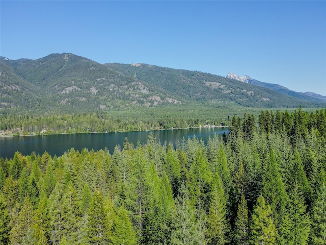 29 Northshore Dr, Troy, MT 59935 - view of mountain backdrop featuring a large body of water and a heavily wooded area