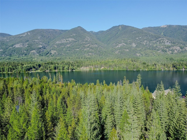 29 Northshore Dr, Troy, MT 59935 - view of mountain backdrop featuring a forest and a large body of water