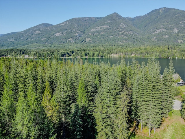29 Northshore Dr, Troy, MT 59935 - view of mountain background with a forest and a nearby body of water