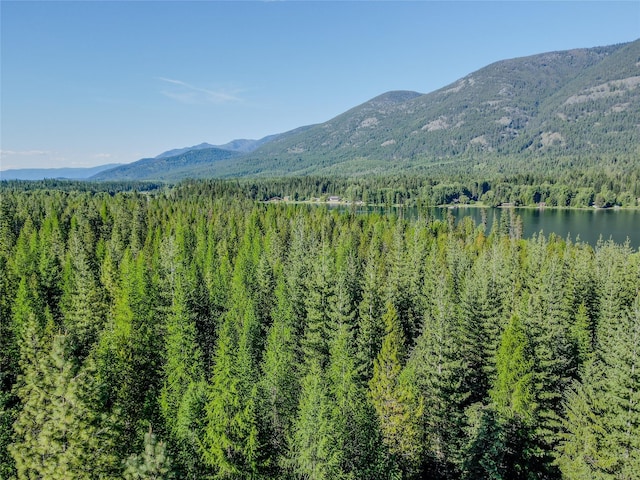 29 Northshore Dr, Troy, MT 59935 - mountain view featuring a forest and a nearby body of water