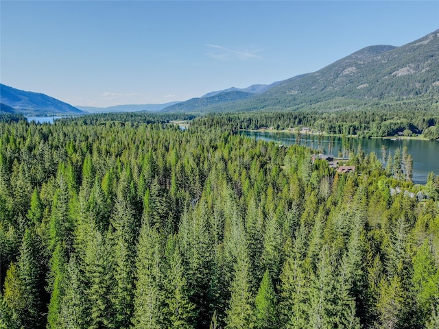 29 Northshore Dr, Troy, MT 59935 - mountain view with a heavily wooded area and a large body of water