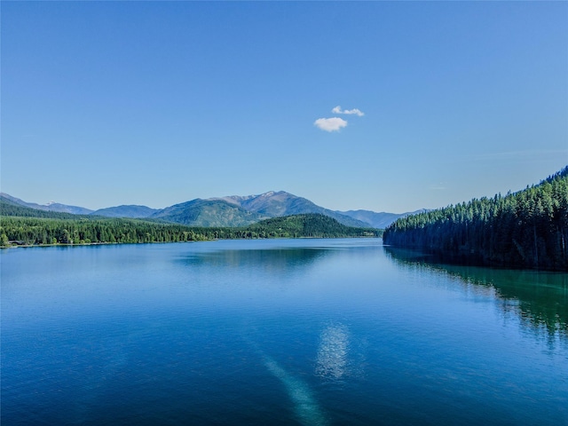 29 Northshore Dr, Troy, MT 59935 - water view featuring a mountainous background and a forest
