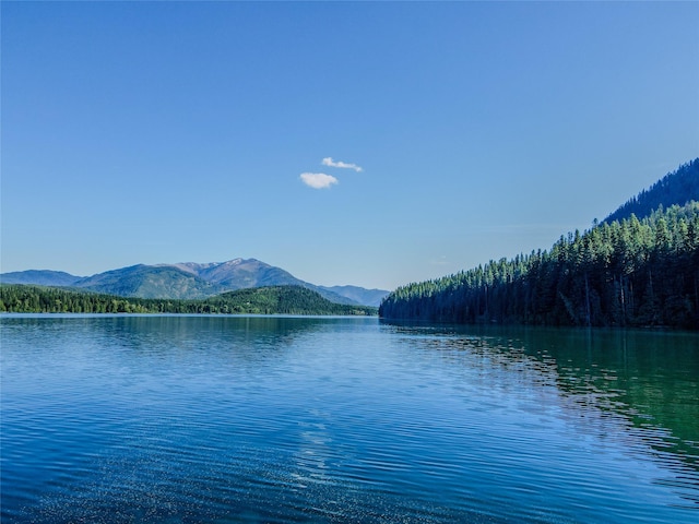 29 Northshore Dr, Troy, MT 59935 - water view featuring mountains and a forest