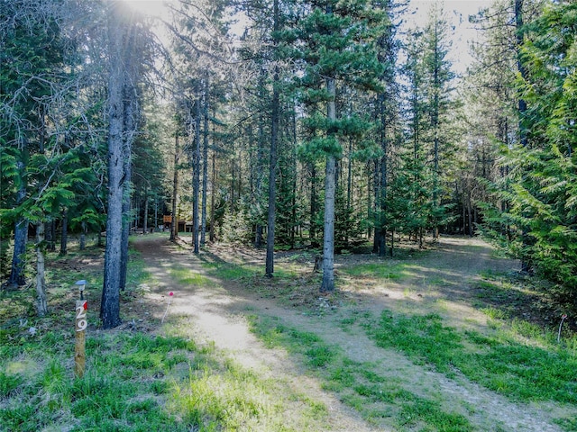 29 Northshore Dr, Troy, MT 59935 - view of dirt / gravel road with a view of trees
