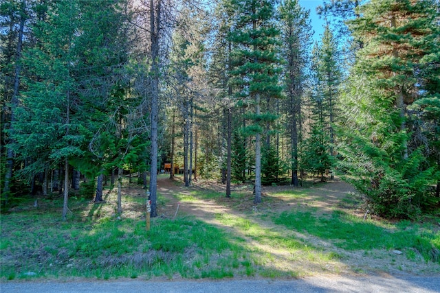 29 Northshore Dr, Troy, MT 59935 - view of tree filled area