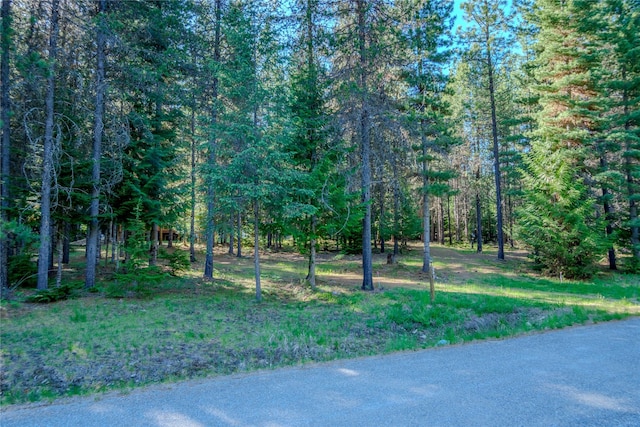 29 Northshore Dr, Troy, MT 59935 - view of asphalt road featuring a wooded view