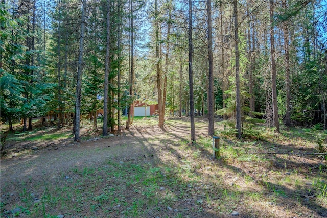 29 Northshore Dr, Troy, MT 59935 - view of yard with an outbuilding and a view of trees