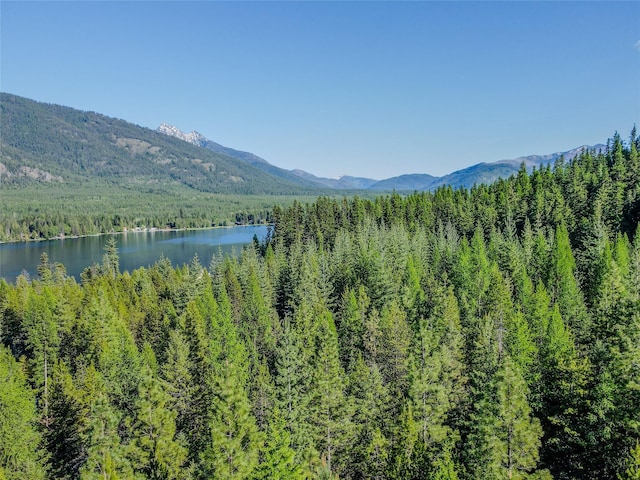 29 Northshore Dr, Troy, MT 59935 - mountain view featuring a large body of water and a heavily wooded area