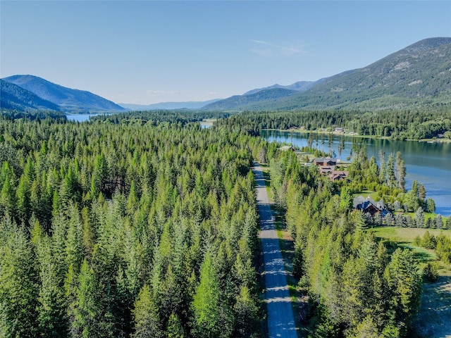 29 Northshore Dr, Troy, MT 59935 - view of mountain background with a heavily wooded area and a nearby body of water
