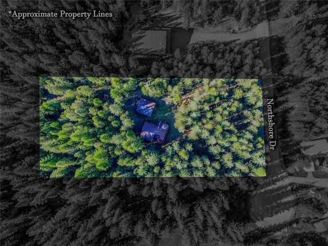 29 Northshore Dr, Troy, MT 59935 - drone / aerial view
