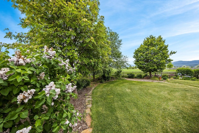 1399 Mackinaw Loop, Somers, MT 59932 - view of yard with a mountain view