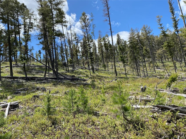 NHN Hidden Canyon, Helmville, MT 59843