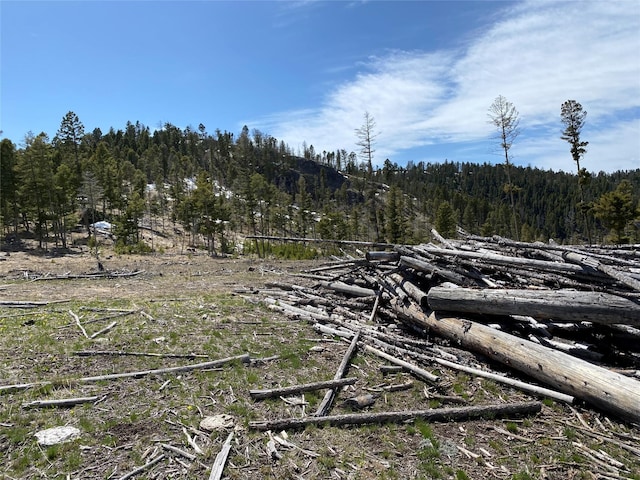 NHN Hidden Canyon, Helmville, MT 59843