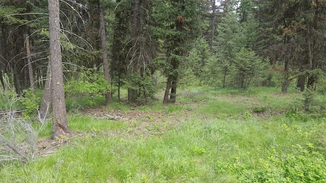 TBDTRACT35A High Country Rd, Plains, MT 59859