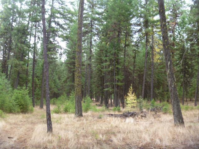 TBDTRACT35A High Country Rd, Plains, MT 59859