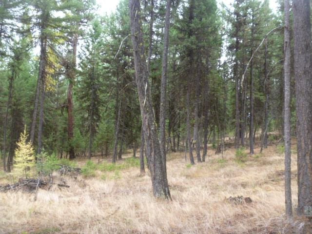 TBDTRACT35A High Country Rd, Plains, MT 59859