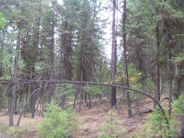 TBDTRACT35A High Country Rd, Plains, MT 59859