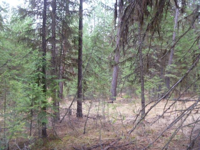 TBDTRACT35A High Country Rd, Plains, MT 59859