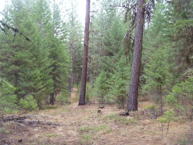 TBDTRACT35A High Country Rd, Plains, MT 59859