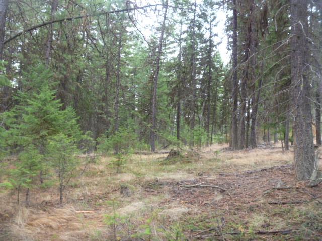 TBDTRACT35A High Country Rd, Plains, MT 59859