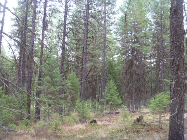TBDTRACT35A High Country Rd, Plains, MT 59859
