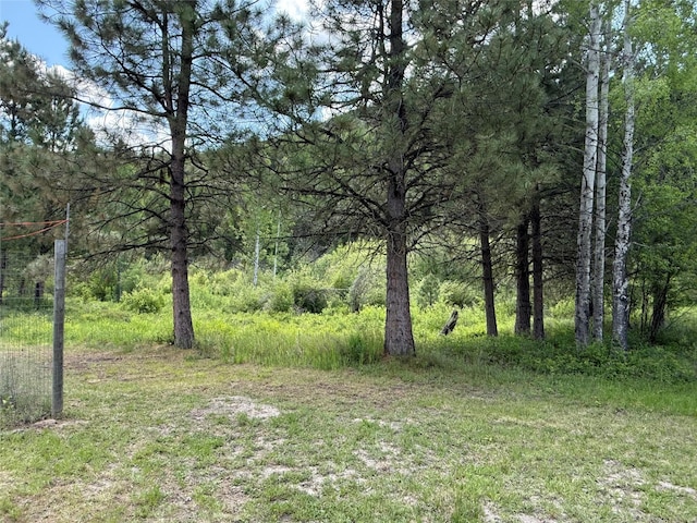 63450 US Highway 2, Libby, MT 59923 - view of tree filled area