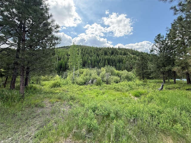 63450 US Highway 2, Libby, MT 59923 - mountain view featuring a heavily wooded area