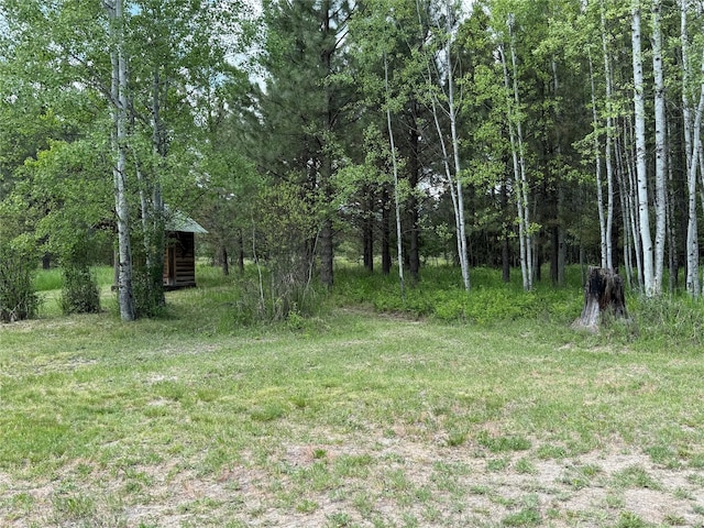 63450 US Highway 2, Libby, MT 59923 - view of yard featuring a view of trees