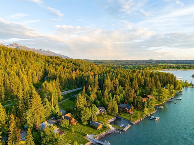 34777 Compass Ln, Polson, MT 59860 - bird's eye view of a heavily wooded area and a nearby body of water