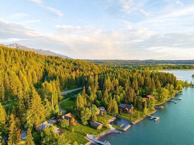 34777 Compass Ln, Polson, MT 59860 - bird's eye view of a forest and a nearby body of water