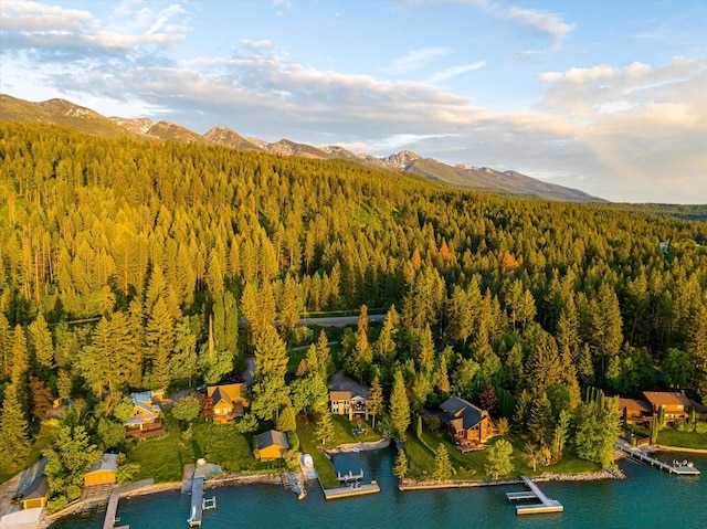 34777 Compass Ln, Polson, MT 59860 - aerial view of a forest and a water and mountain view